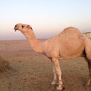 Mgnoonْ (@001_qq) Twitter