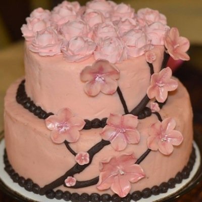 bakery 513 is the brainchild of Amy Ashcraft.  We focus on cakes and special event desserts.