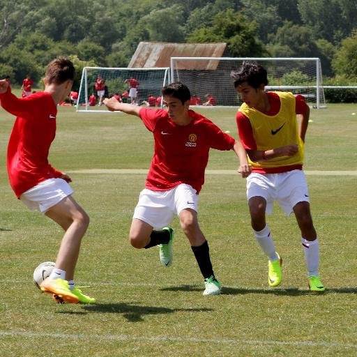 GustavoMBerger's profile picture. Guatemala/Miami