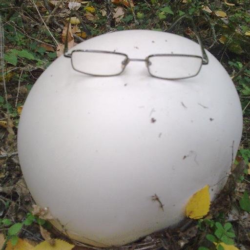 vintik54's profile picture. Желание сделать мир лучше.