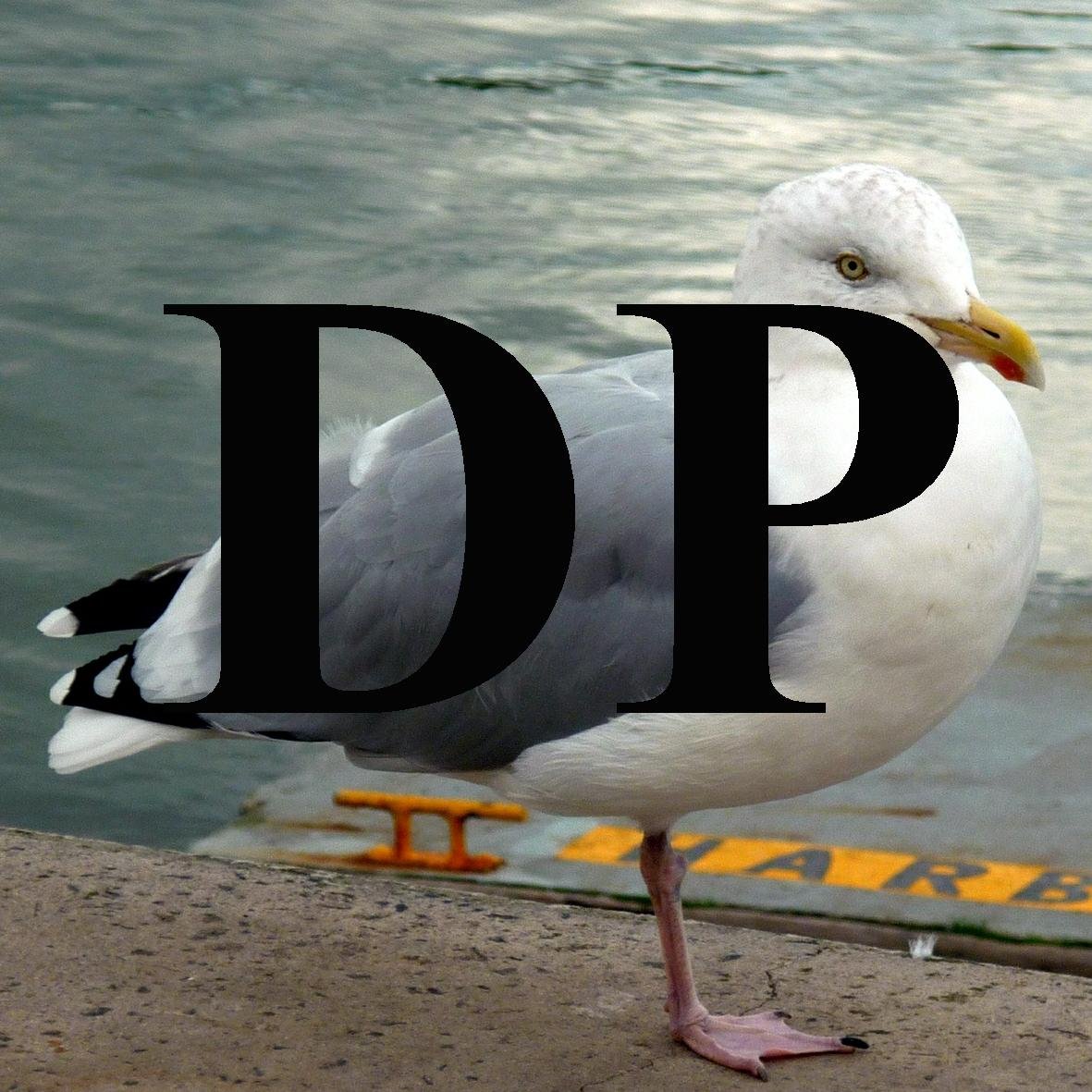 dartsidepress's profile picture. 