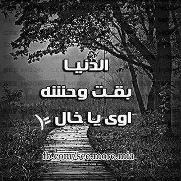 anahassnan2's profile picture. 