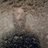 IsmoRaisanen's profile image