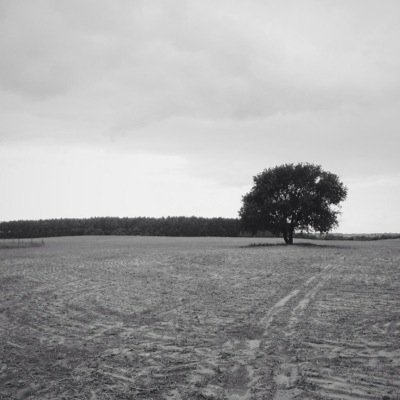 vidpovidi's profile picture. 