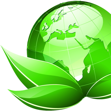 Empresa Exportadora de aceite vegetal usado reciclado, para ser transformado en Biodiésel, implementando las normas de calidad.