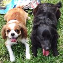 Audrey Lai - @audreylhr - Twitter