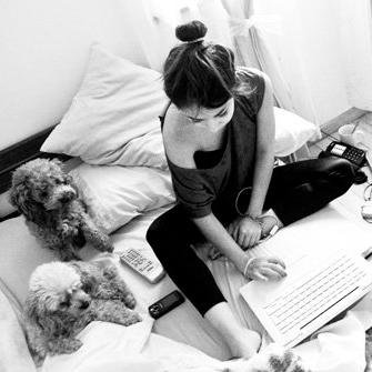 🐱🐶🐶❤️