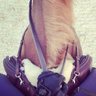 HanoufOtaibi's profile picture. Financier by profession. Horse rider by passion.