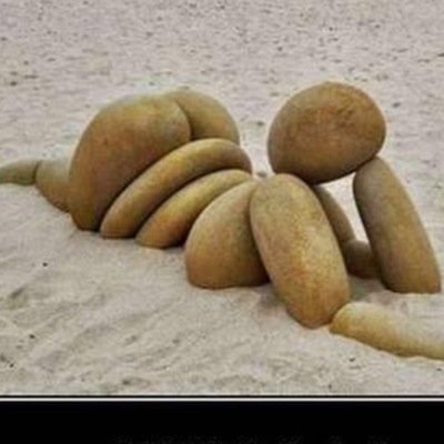 bwang7's profile picture. 