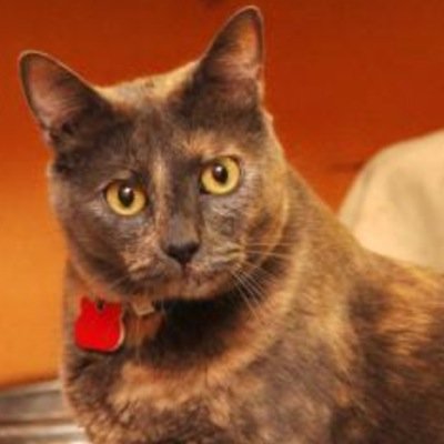 BrayyHunter's profile picture. Your amazing if you follow me❤️