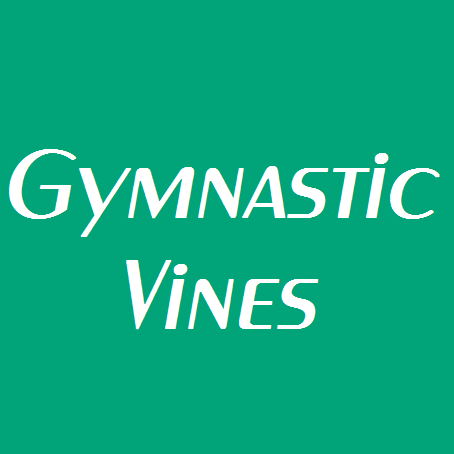 This is the place where you see the best Gymnastic Vines!