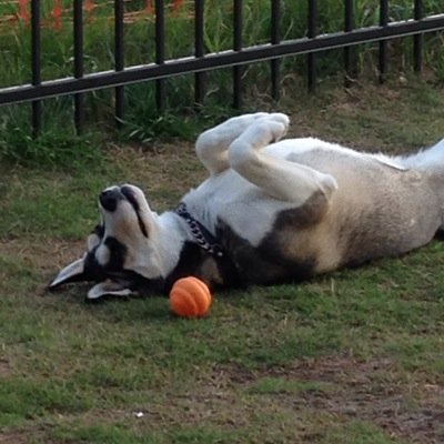 suzan_fleshman's profile picture. 