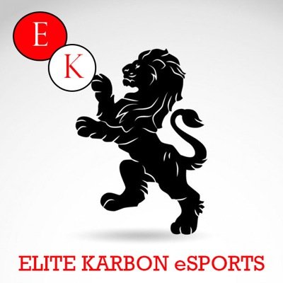 Up and Coming PS4 eSports Call of Duty Team. Looking for members. Sponsored by Cinch Gaming use code EKarbon for 5% off! Add EK_Renegade