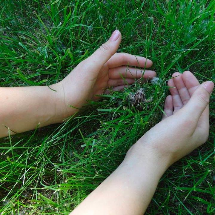 The best way to know life is to love many things.   

Learning and Loving