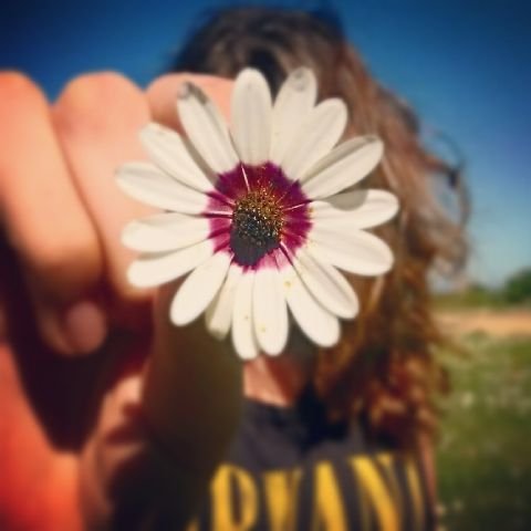 Nina283E6842's profile picture. Proudly south african since the naughties