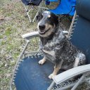 Michelle Moreau - @mm38ak - Twitter