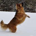 Bradley Bowman - @nowmotivations - Twitter