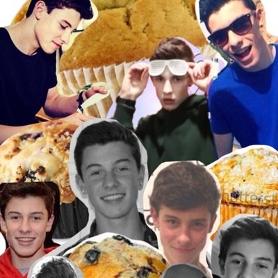 can yall pls follow @elysian_mendes?? she just made a new account dedacated to Shawn...her goal is to help true fam get noticed by him❤️ ty ily