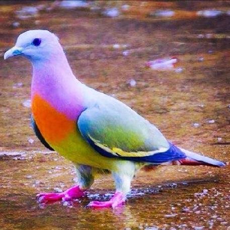 2 dakika sonrasının garanti olmadığı bir dünyada yaşıyoruz. Neyin kavgasını yapıyorsunuz.