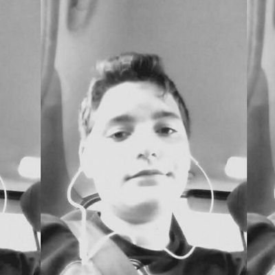 TassetTom's profile picture. 