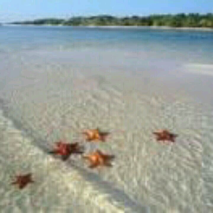 robertoperez843's profile picture. 