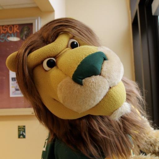 Proud to be a Saint Leo University Lion. Go Lions!