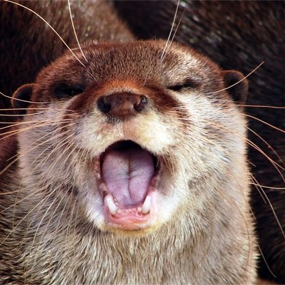 iMooky_'s profile picture. - Dans la vie on ne fait pas ce que l'on veut mais on est responssable de ce que l'on est - Etudiant