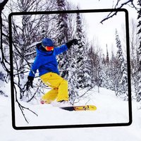 Dominique Schuwey (@domienterprises) 's Twitter Profile