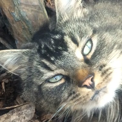thejudge110397's profile picture. 