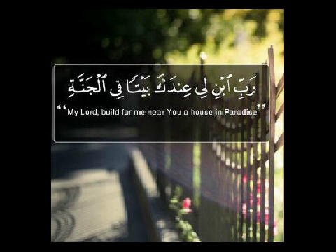 قبراً وُضعت به أمي أنِره يا الله، لي ولكِ أمي حبيبتي.