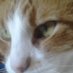 Edgar (@eerrl1955) Twitter profile photo Edgar (@eerrl1955) Twitter profile photo