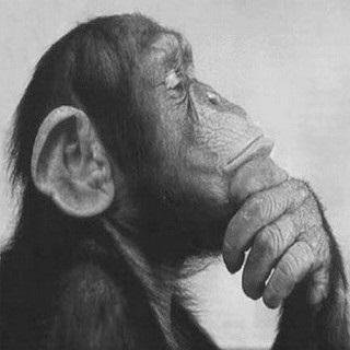 mjdispirito's profile picture. Just another talking monkey with an attitude problem.
