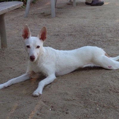 ArturoCorcho's profile picture. 