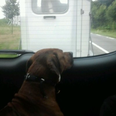 mr. C. Johansson XX 🇳🇱 🇮🇱