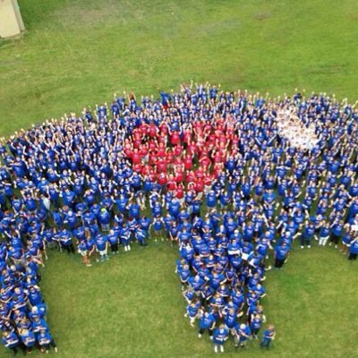 hwyanks25's profile picture. My kids have four legs and fur!!! :)