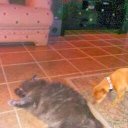 Al Huffman - @alwh6615 - Twitter