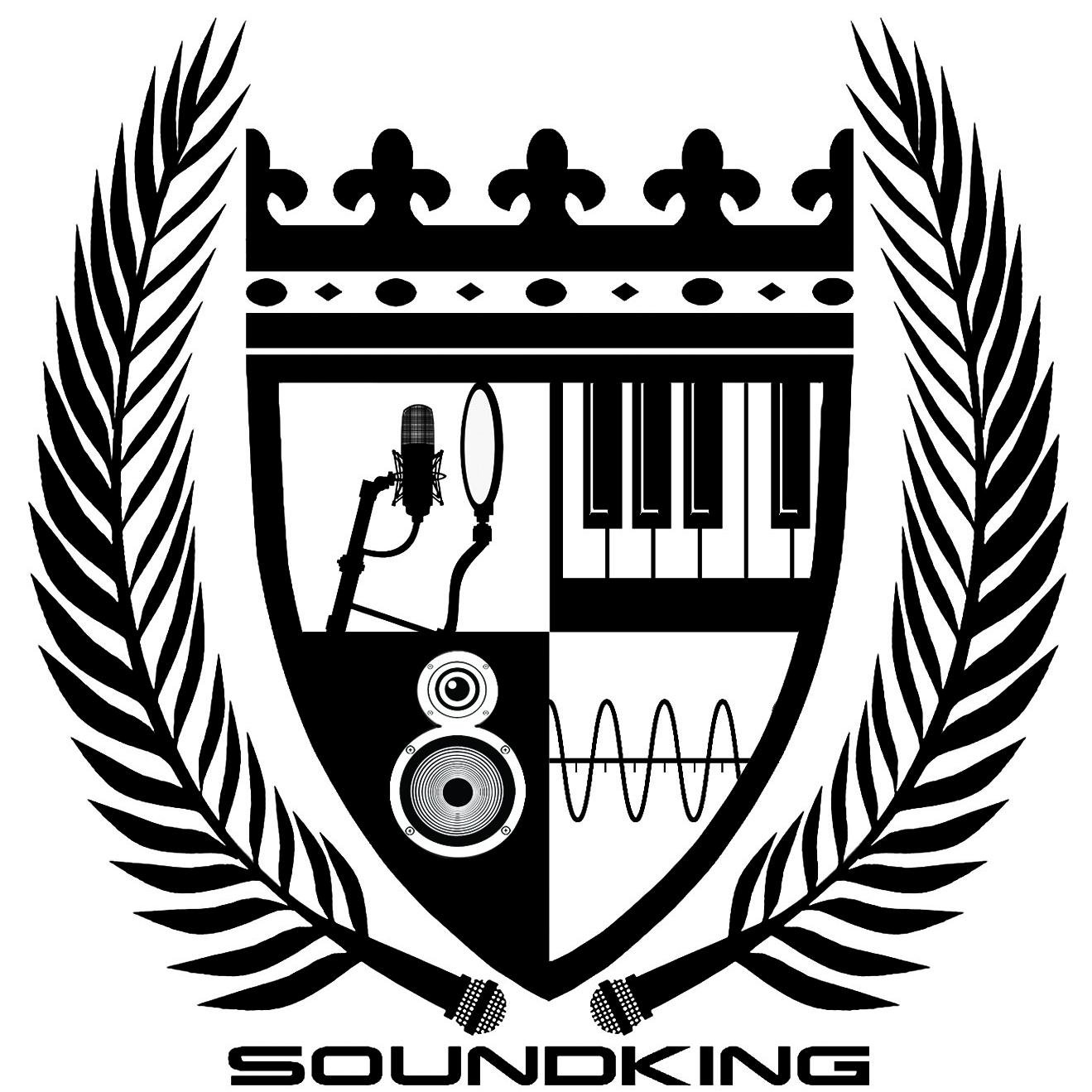 RECORDING STUDIO / MUSIC PRODUCTION
                 WASHINGTON D.C