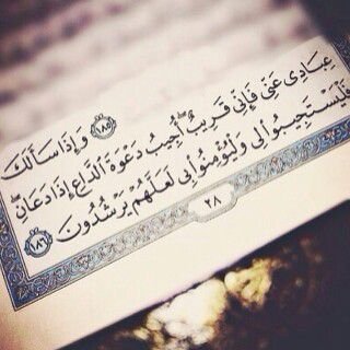 ربي لا إله الا انت سبحانك اني كنت من الظالمين
