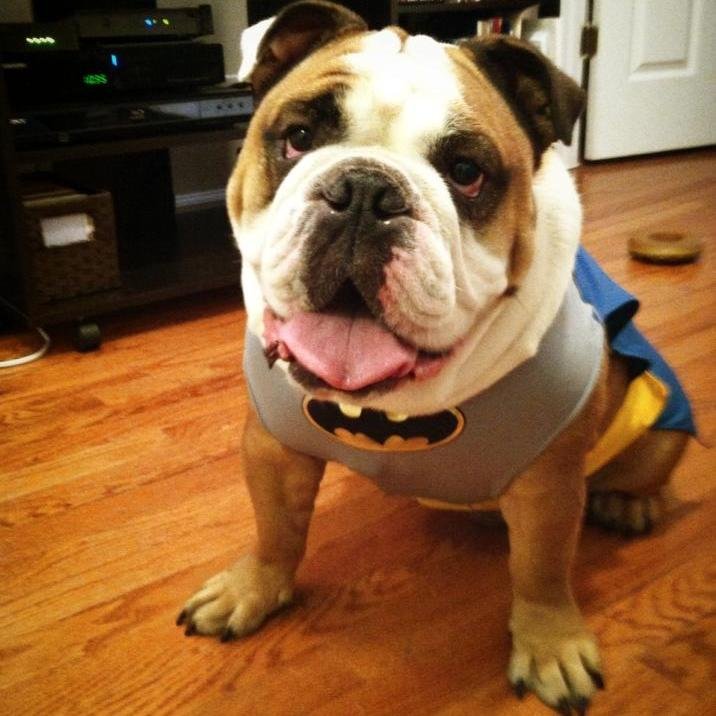 MattAulds's profile picture. 