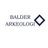 BalderArkeologi's profile image