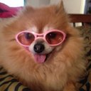 Lacy Chapman - @susieqandlacy - Twitter