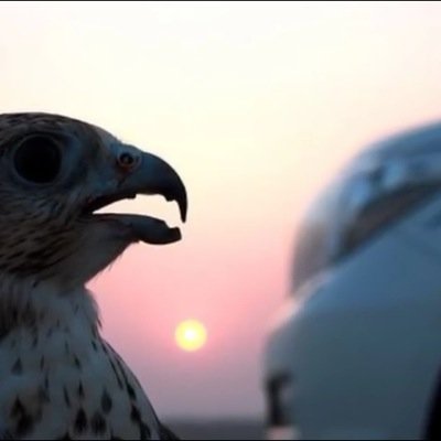❤️Alkaabi❤️.