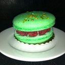 wildlife - @RebeccaRead - Twitter