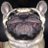 thebeardyboy71's profile image