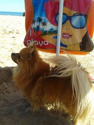 PKtaty's profile picture. 