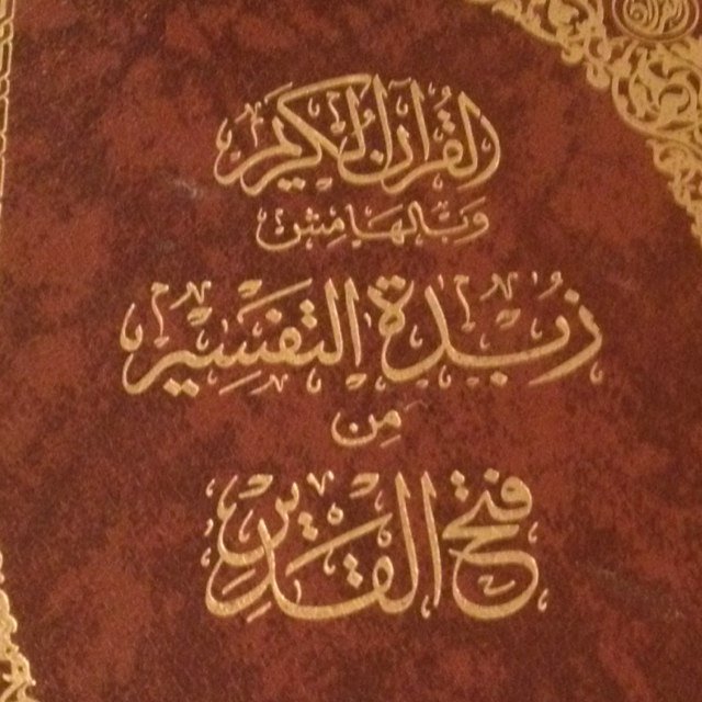 jamal_alshomr's profile picture. 