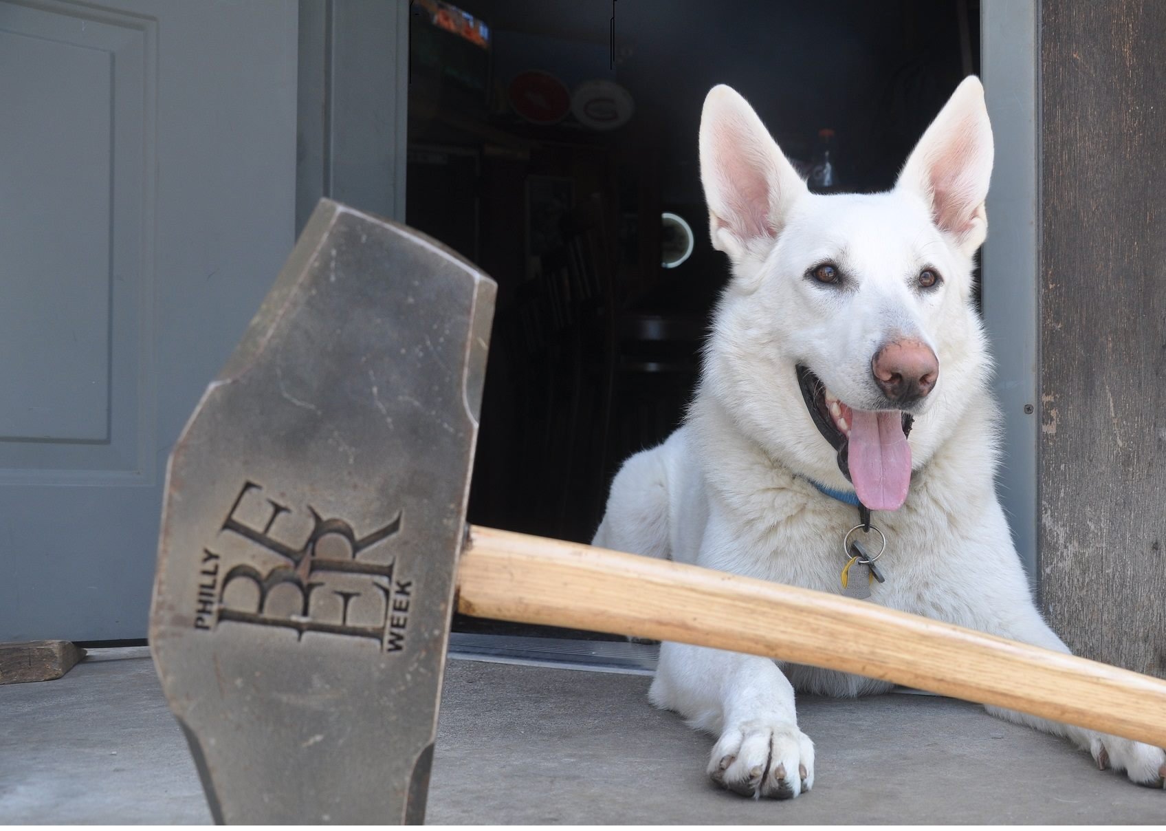 ewallaceb's profile picture. 