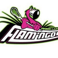 Finger Lakes Flamingos (@flflamingos) 's Twitter Profile Photo Finger Lakes Flamingos (@flflamingos) 's Twitter Profile Photo