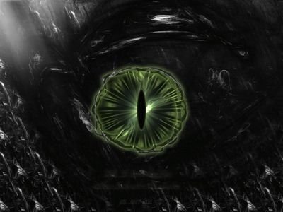 nikolaslvr's profile picture. 