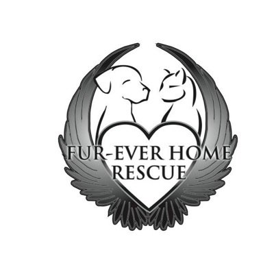 Fur-Ever Home is a dog and cat rescue located in Central Minnesota